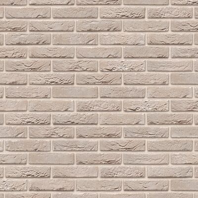 Gevelsteen Argentis DF 215X100X65