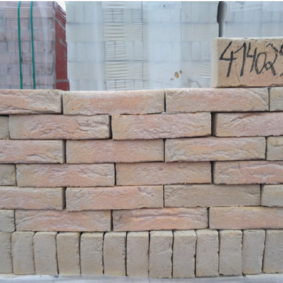 Gevelsteen RIEGO lot - 210X100X50MM