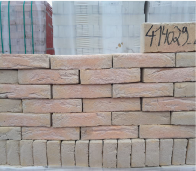 Gevelsteen RIEGO lot - 210X100X50MM